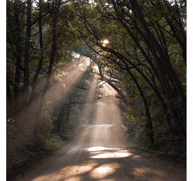 Ρολό κουρτίνα για σαλόνι δασικός δρόμος στη φύση - TenStickers