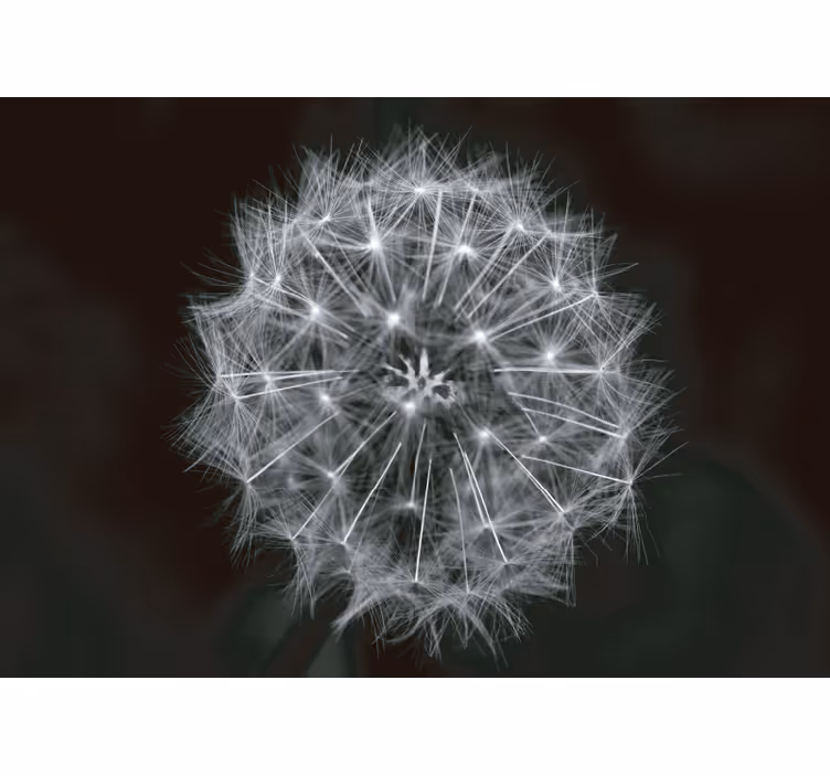 Γκρι ρολό κουρτίνας με λουλούδι blowball γκρι - TenStickers