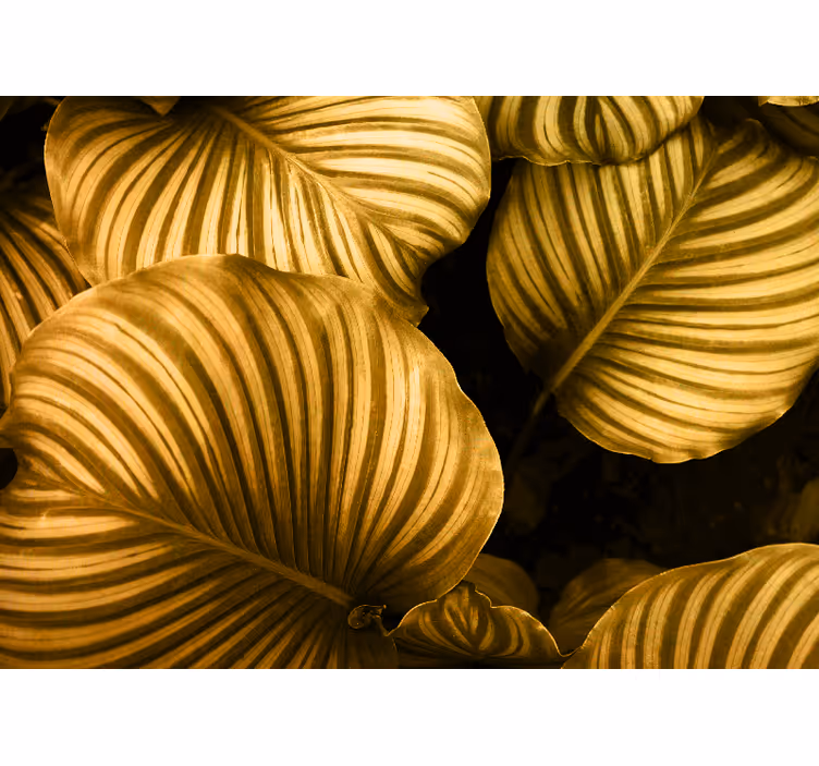 Ρολό για την κρεβατοκάμαρα Παλιό Καφέ Φύλλα - TenStickers