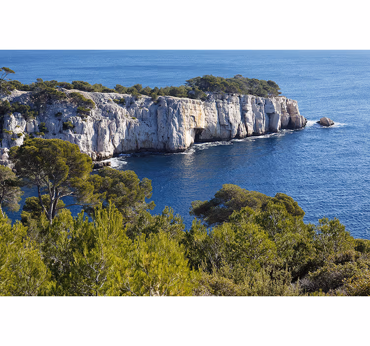 Ρολό κουρτίνα για σαλόνι καλαμιές της Μασσαλίας - TenStickers