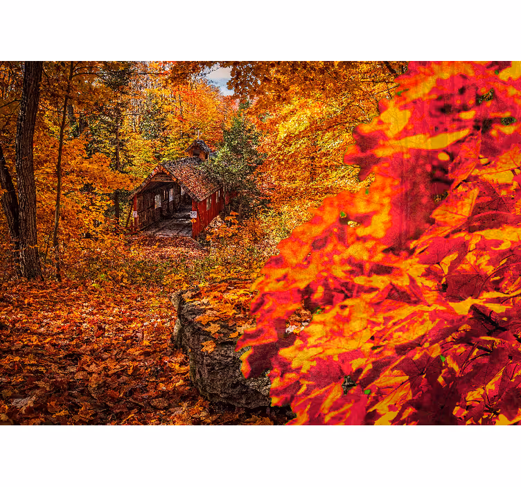 τοιχογραφία δέντρου autum - TenStickers