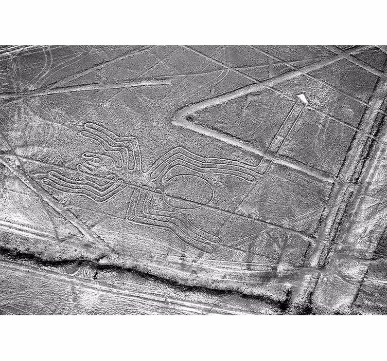 επιδόρπιο πάγου nazca γραμμές τοιχογραφία φύσης - TenStickers