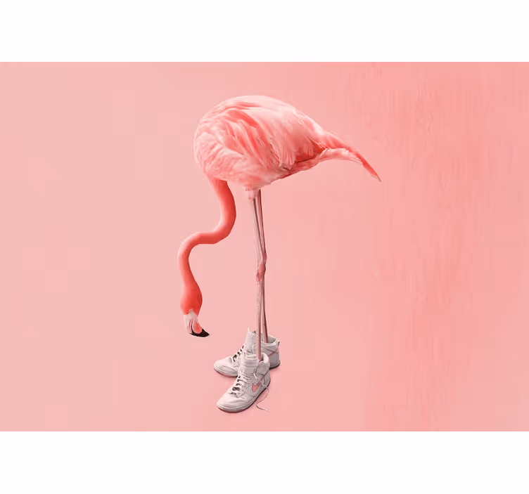 Φωτοταπετσαρία άλλα ζώα Φλαμίνγκο με sneakers - TenStickers