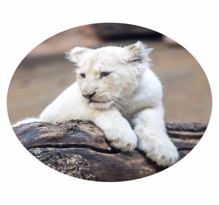 χαριτωμένο λευκό λιοντάρι cubs ζωικό χαλί από βινύλιο - TenStickers