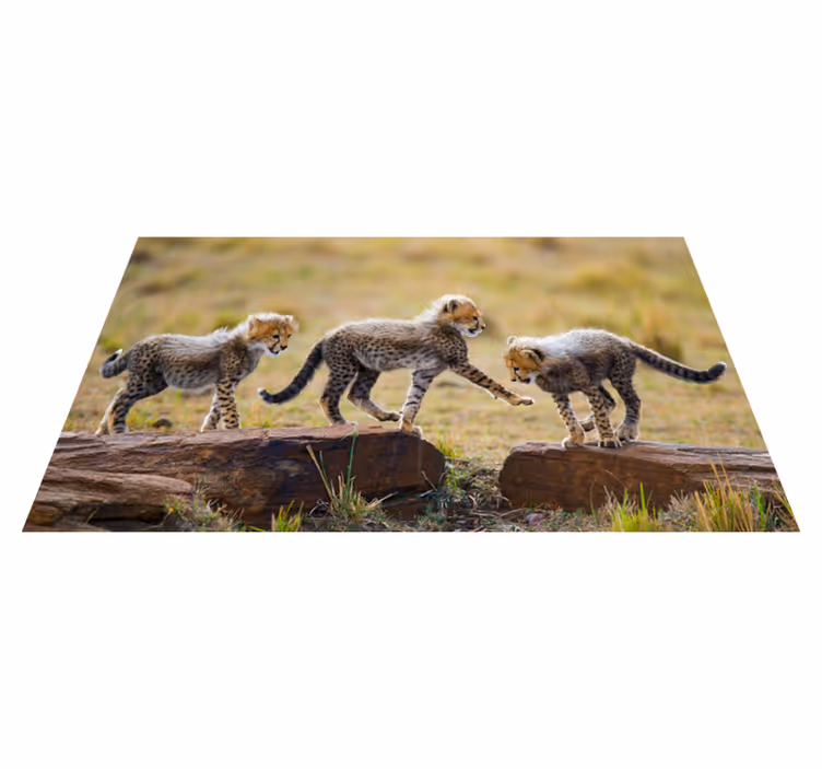 ζώο χαριτωμένο τσίτα cubs ζωικό χαλί - TenStickers