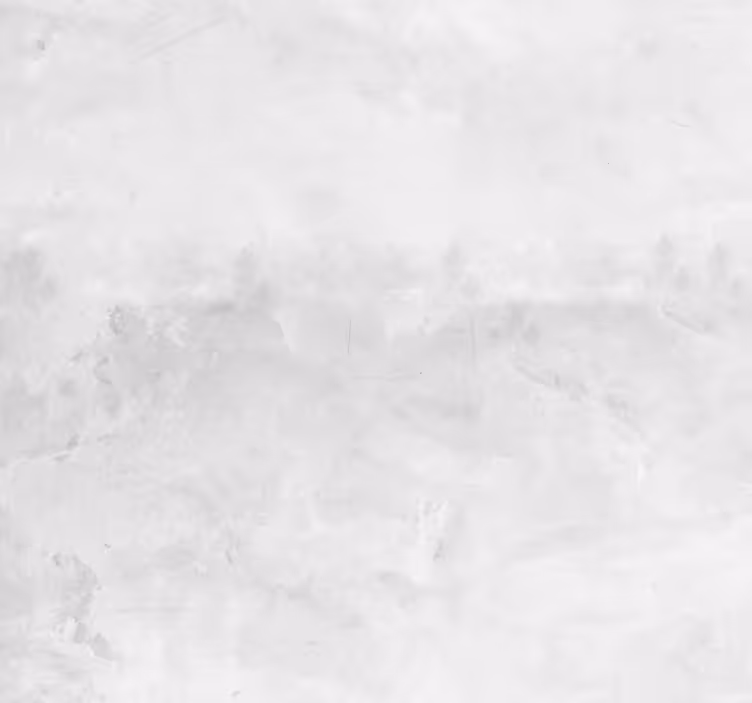 παλιά ταπετσαρία από λευκό τοίχο - TenStickers