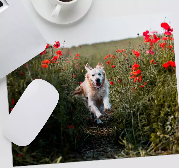 χαριτωμένος σκύλος που τρέχει στο πεδίο αυθεντικό ποντίκι - TenStickers