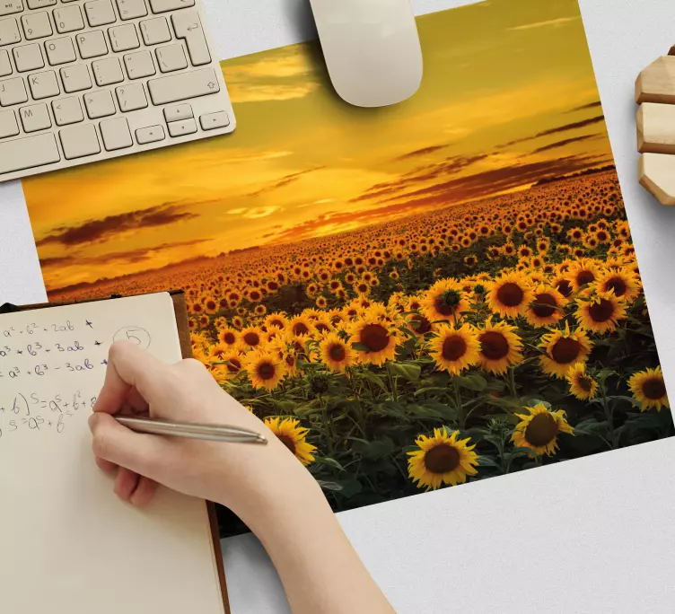 αυθεντικό πεδίο ποντικιού ηλίανθου - TenStickers