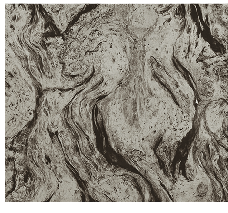 Pολό κατακόρυφης κουρτίνας για την τουαλέτα σκούρα μαρμάρινη υφή - TenStickers