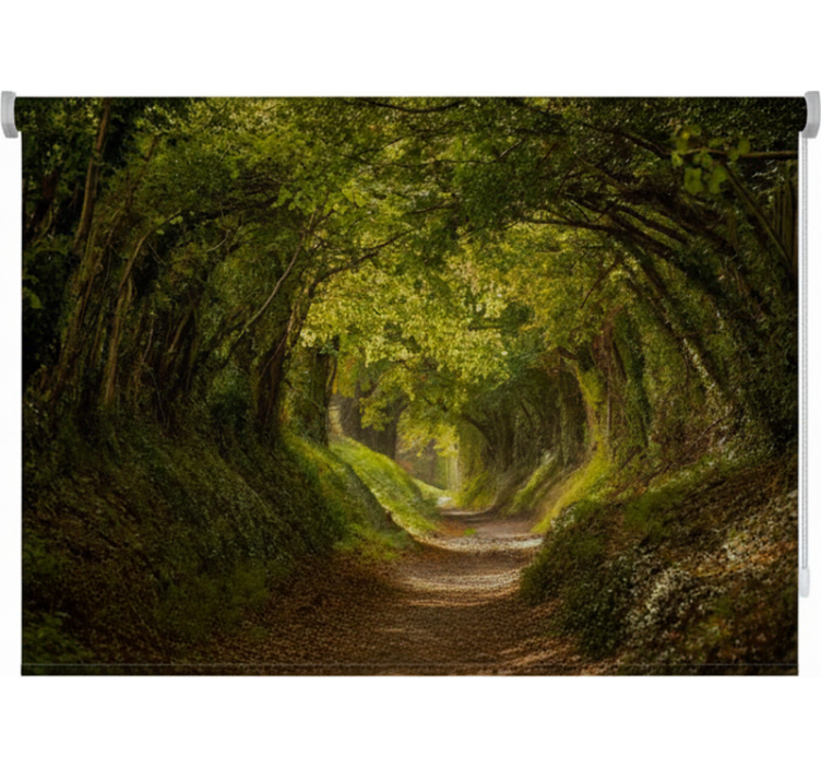 Ρολό στόρι με δέντρα ελληνικό πράσινο μονοπάτι - TenStickers