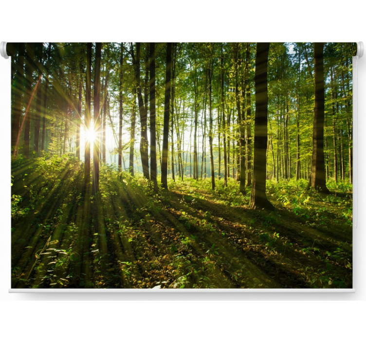 Ρολό στόρι με δέντρα Χρυσά Δάση Ηλίου - TenStickers