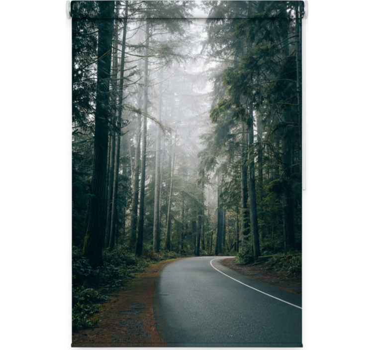 Ρολό στόρι με δέντρα στο Θολό Δρόμο των Πεύκων - TenStickers