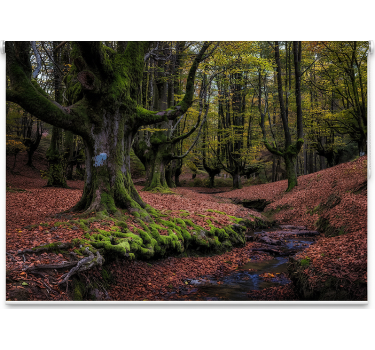 Pολό στόρι με δέντρα Μαγεμένος Φθινοπωρινός Δάσος - TenStickers
