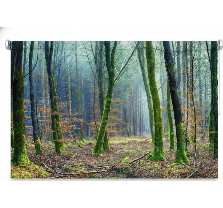 Ρολό στόρι με δέντρα Ομιχλώδης Δάσος japandi - TenStickers