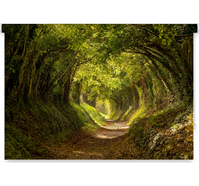 Ρολό στόρι με δέντρα Εντυπωσιακό τοίχο δάσους - TenStickers