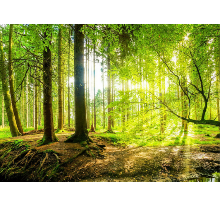 Ρολό στόρι με δέντρα Υπέροχη Ορεινή Κοιλάδα - TenStickers