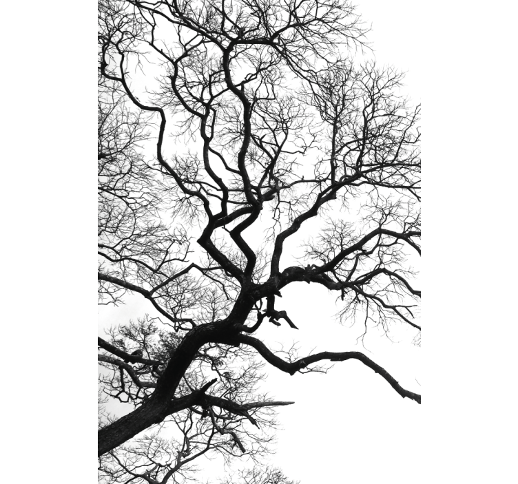 μονόκλαδο ρήξη ρολά που ζωγραφική - TenStickers