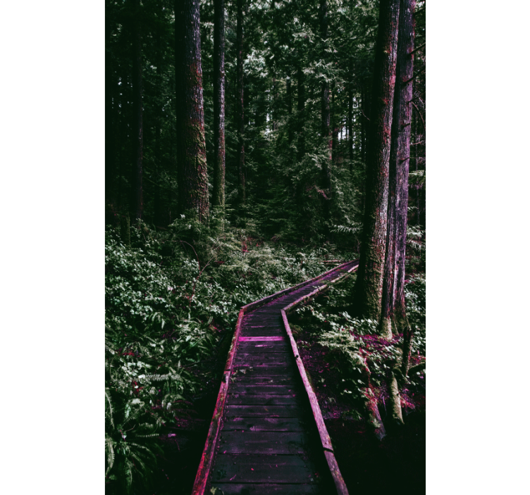 Pολό στόρι με δέντρα δασικό μονοπάτι - TenStickers