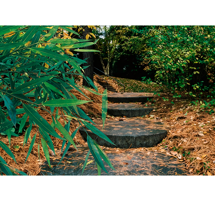 3d δάσος και μικρό δρόμο αυθεντικό ρολό - TenStickers