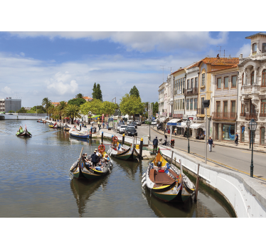 Pολό κουρτίνα για σαλόνι aveiro Μολιχεϊρο - TenStickers