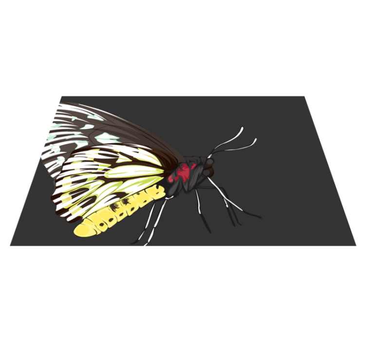 Πρωτότυπο σουπλά με πολύχρωμη απεικόνιση πεταλούδας - TenStickers