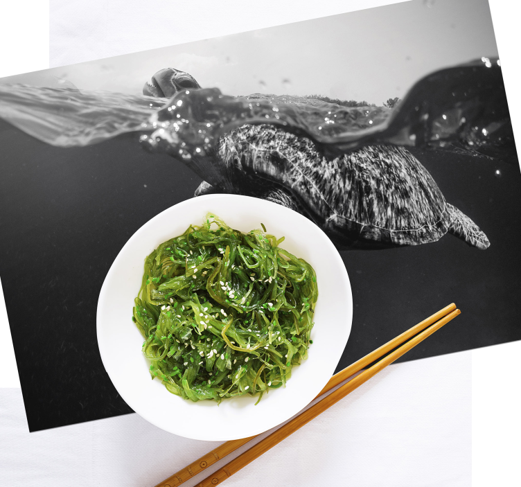 μονόχρωμη χελώνα κολυμπώντας μαύρες πινακίδες - TenStickers