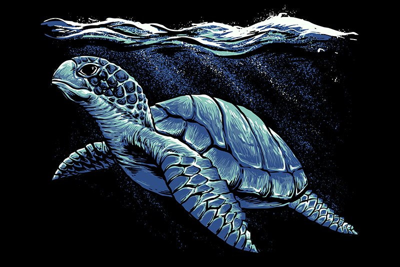 χελώνα σχεδίασης χελωνών - TenStickers