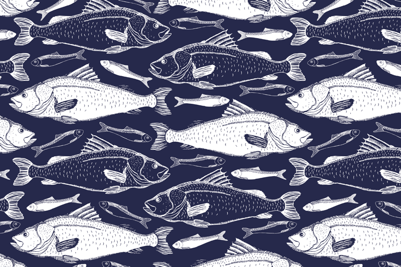 ψάρια κάτω από τη θάλασσα - TenStickers