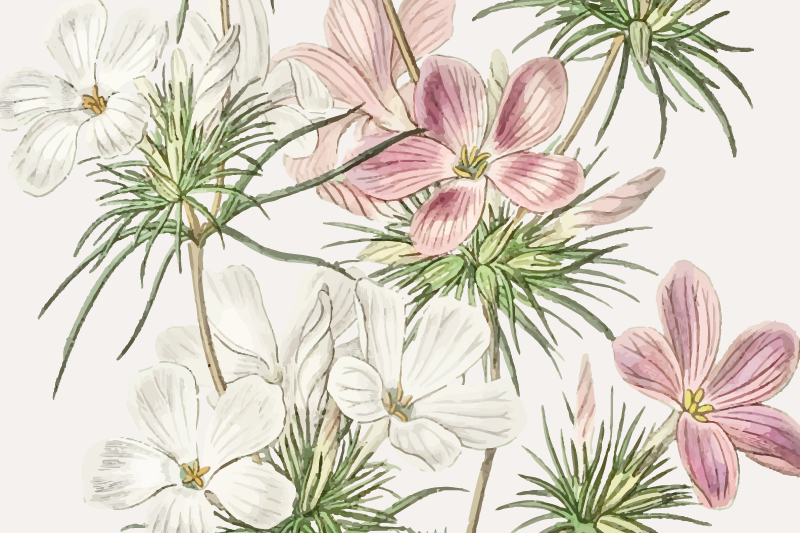 Πρωτότυπο σουπλά Λουλουδάτη Βοτανική Σύνθεση - TenStickers