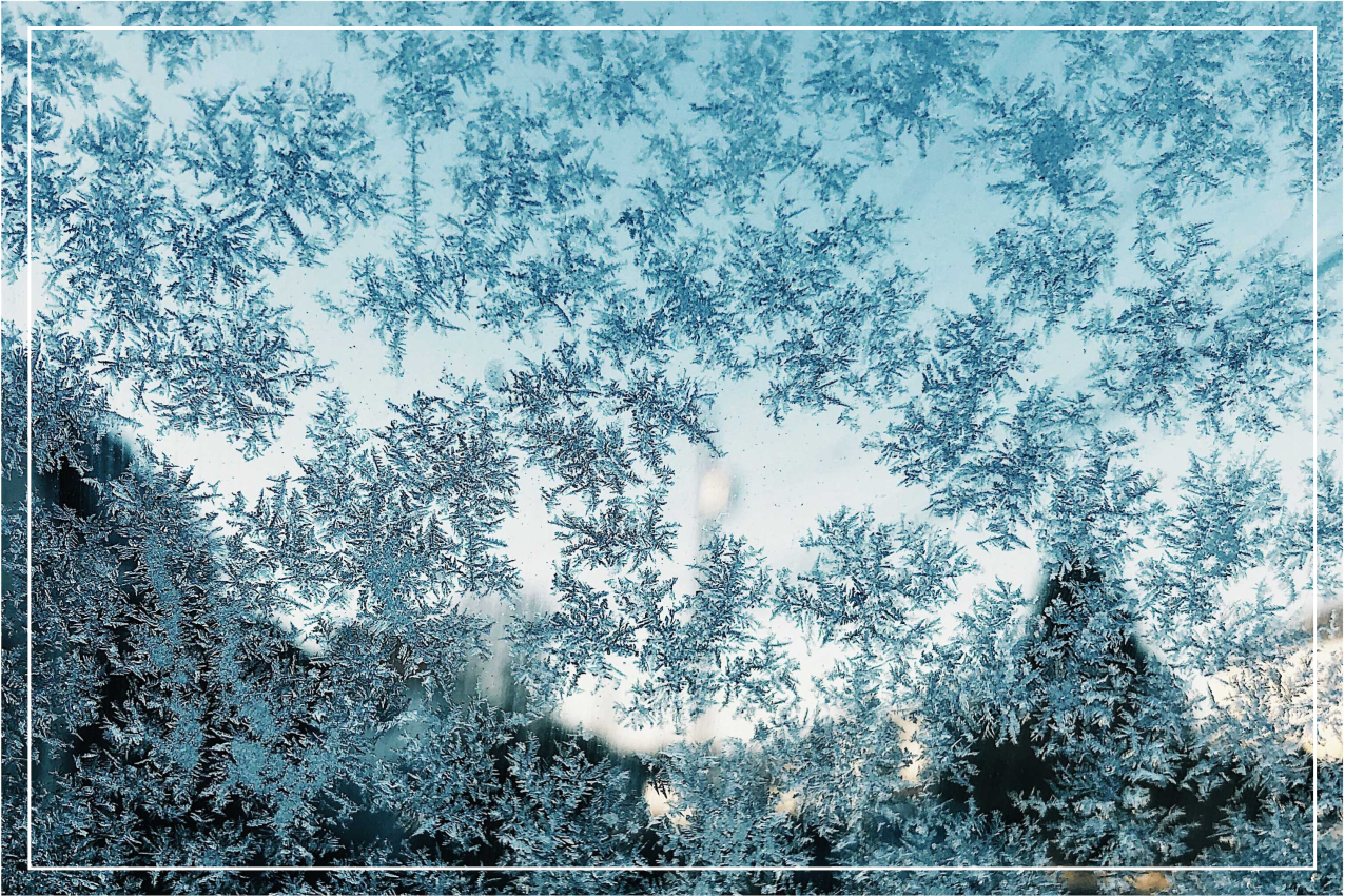 κομψές νιφάδες χιονιού χριστουγεννιάτικες πινακίδες - TenStickers