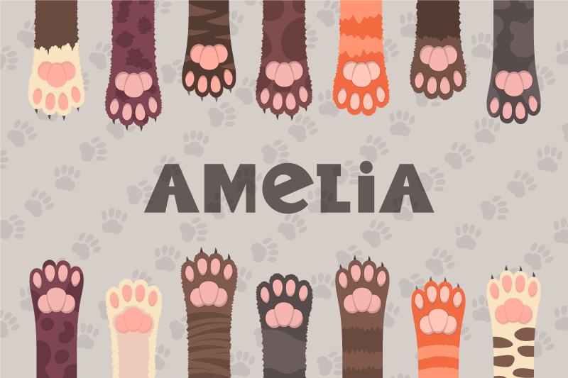 οι πολύχρωμες γάτες πέφτουν εξατομικευμένες θέσεις - TenStickers