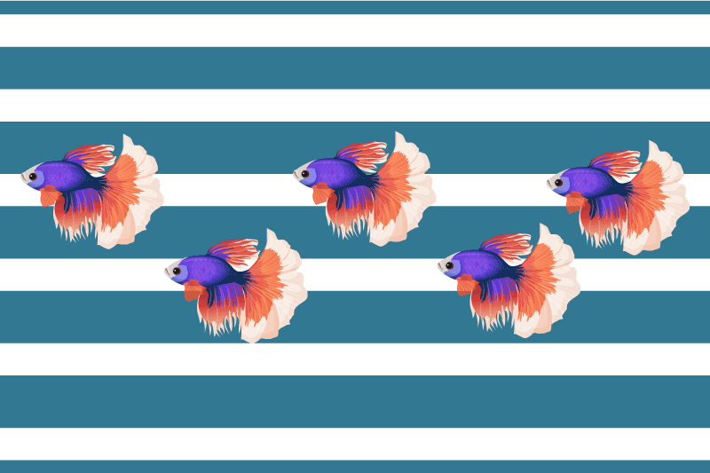 ρεαλιστικές πινακίδες βινυλίου ψαριών - TenStickers