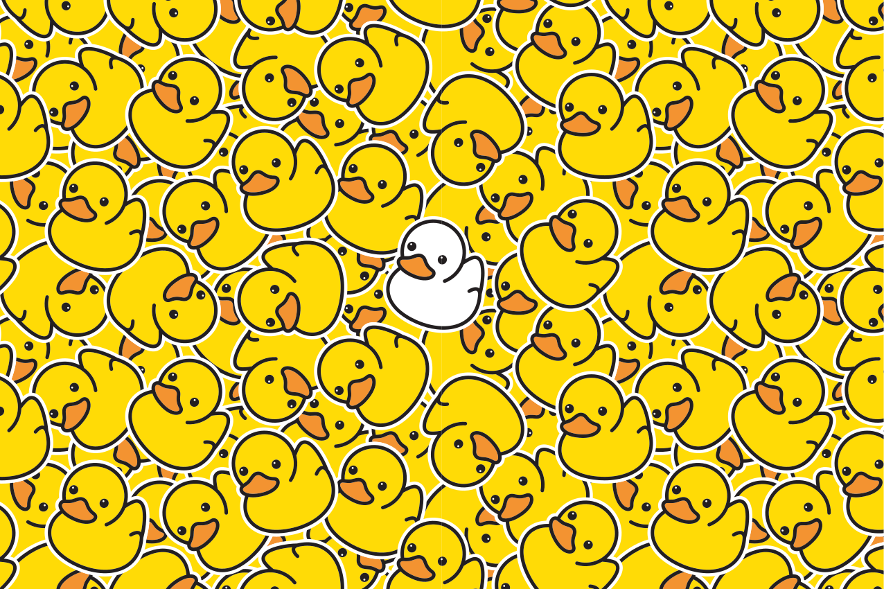 διαφορετικές χαριτωμένες λευκές πάπιες μοντέρνες πινακίδες - TenStickers