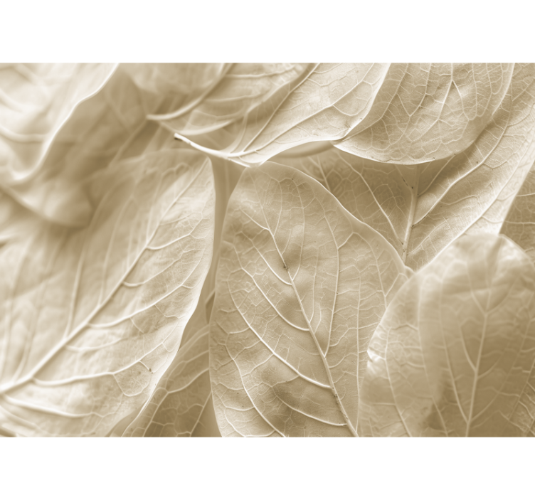 κύριο υπνοδωμάτιο Τοιχογραφία τοίχου μεγάλα μπεζ φύλλα - TenStickers