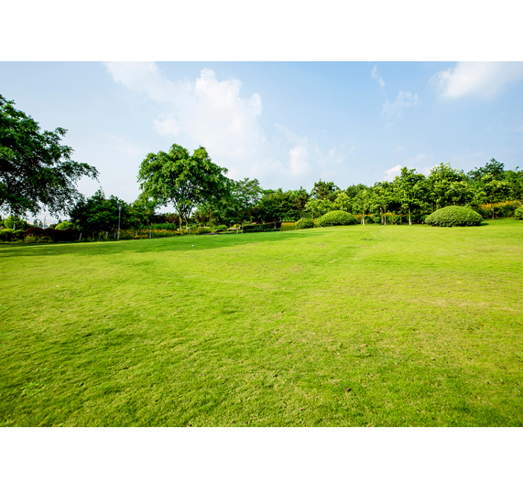 τοιχογραφία φύσης πράσινο λιβάδι - TenStickers