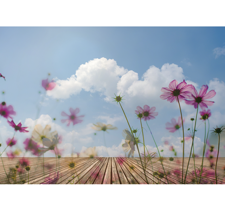 Φωτοταπετσαρία με λουλούδια λεπτές ανθισμένες ανθοφορίες - TenStickers