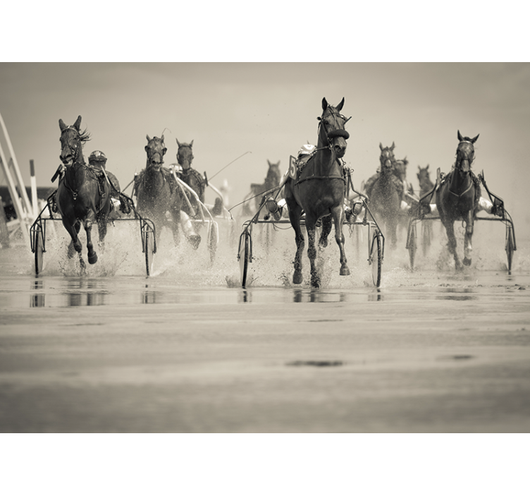 τρέξιμο ομάδα τοιχογραφίας άλογα - TenStickers