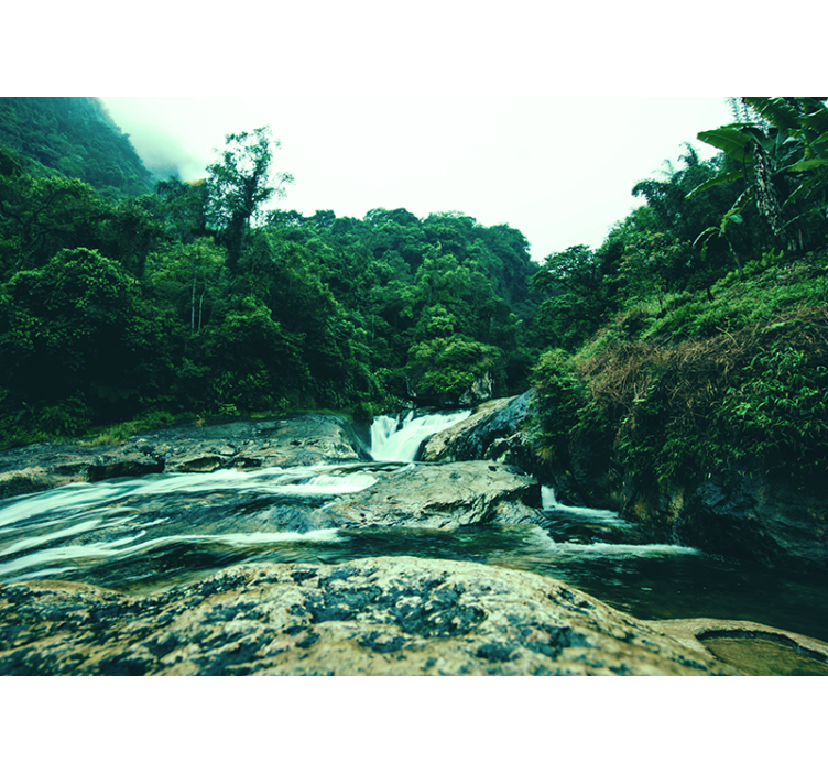 τοιχογραφία του ποταμού του Αμαζονίου - TenStickers