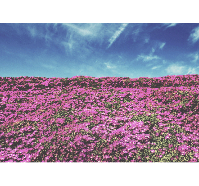 Φωτοταπετσαρία με λουλούδια ζωηρά ροζ άνθη - TenStickers