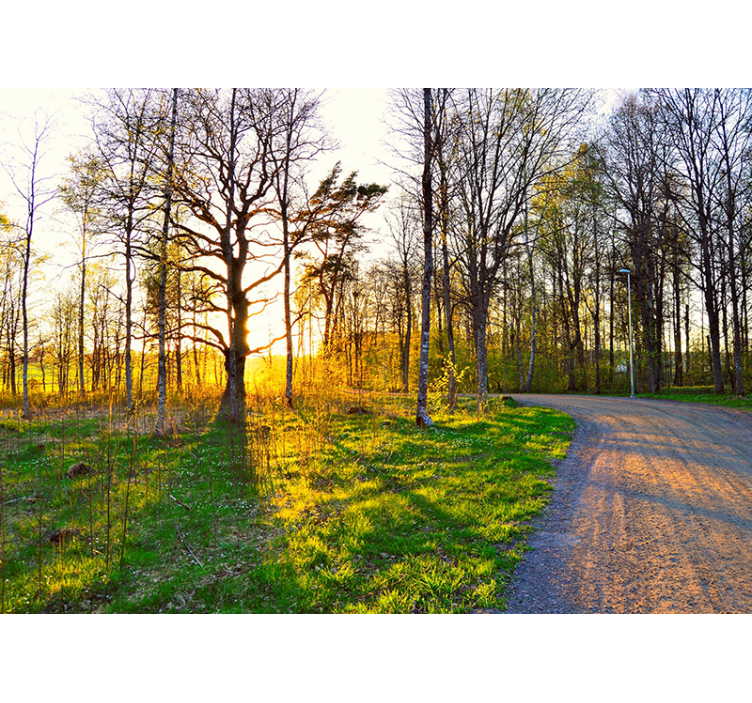 Parc πράσινη τράπεζα τοιχογραφία φύσης - TenStickers