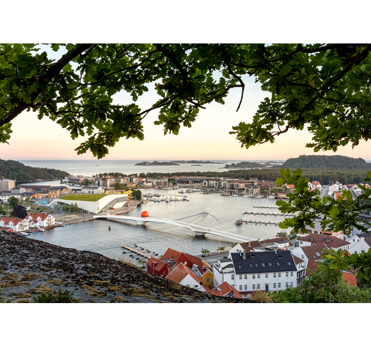 νορβηγική θέα σε μικρή τοιχογραφία της μικρής πόλης - TenStickers