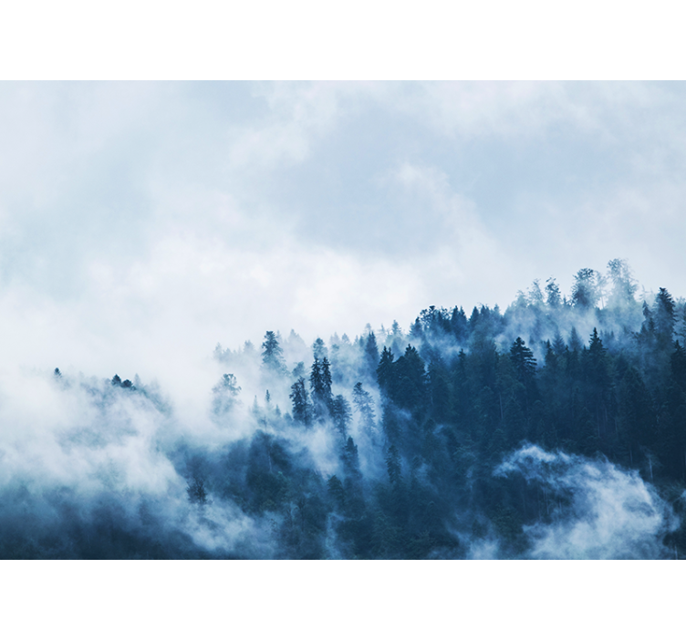 Φωτοταπετσαρία φύσης τοπίο ομίχλης δάσους - TenStickers