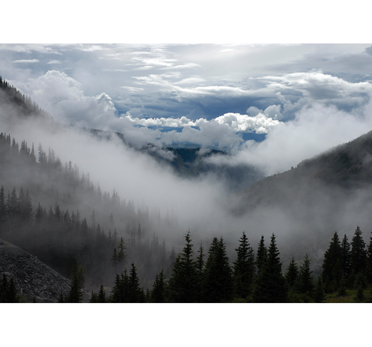 Tαπετσαρία φωτογραφίας τοπίου ομιχλώδες δασικό τοπίο - TenStickers