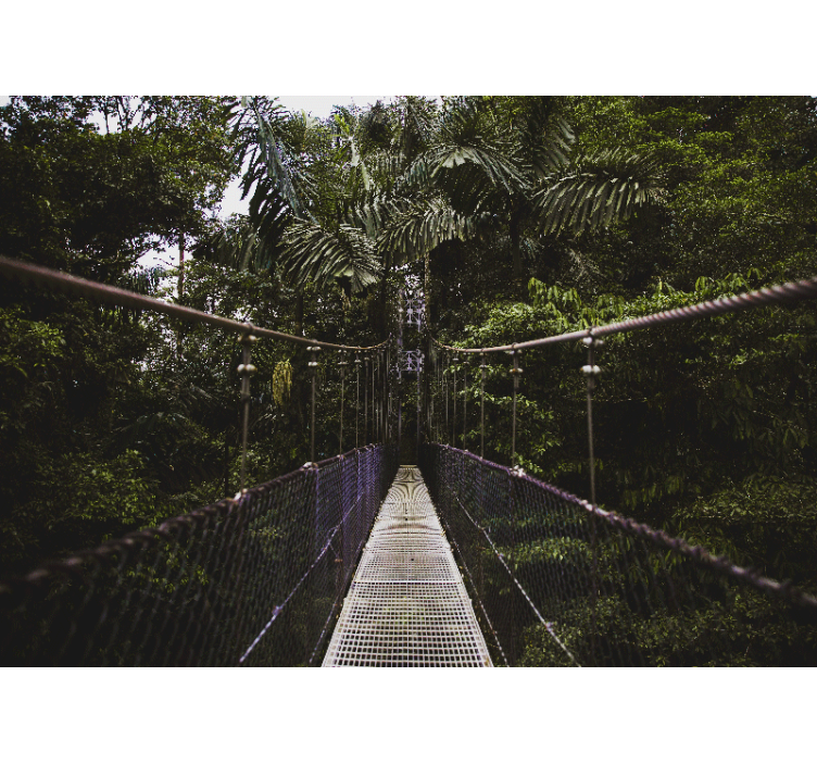 γέφυρα σε μια τοιχογραφία της φύσης της ζούγκλας - TenStickers