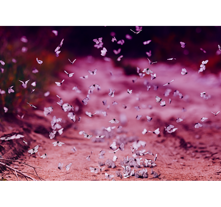 Φωτοταπετσαρία με λουλούδια λεπτός χορός πεταλούδας - TenStickers