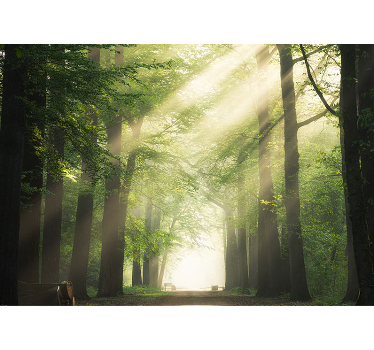 δέντρο με τοιχογραφία φλας φύση - TenStickers