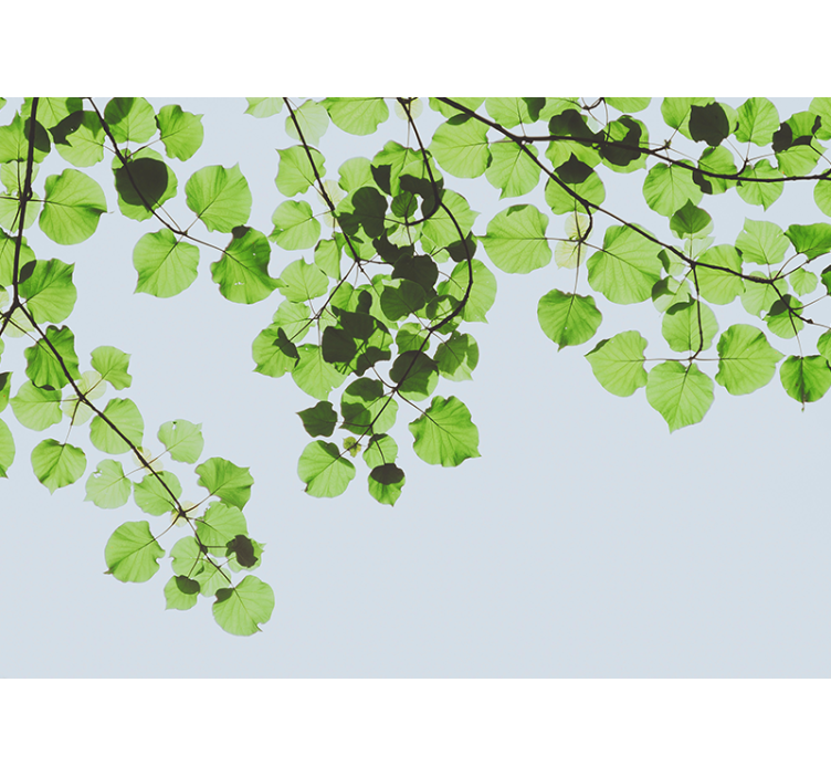 πράσινα φύλλα στη τοιχογραφία τοίχων φύσης ήλιων - TenStickers