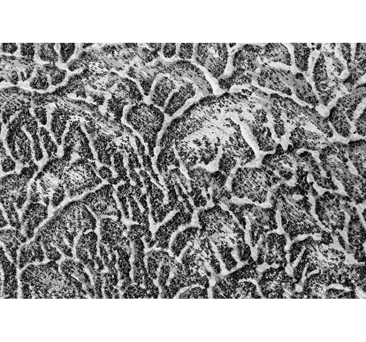 Φωτοταπετσαρία με υφή και σχέδιο Βιολογικό Μοτίβο Υφής - TenStickers