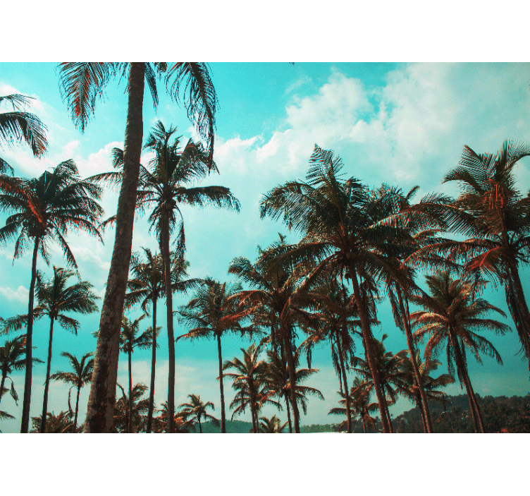 όμορφες παλάμες, ήσυχη τοιχογραφία του καθιστικού - TenStickers