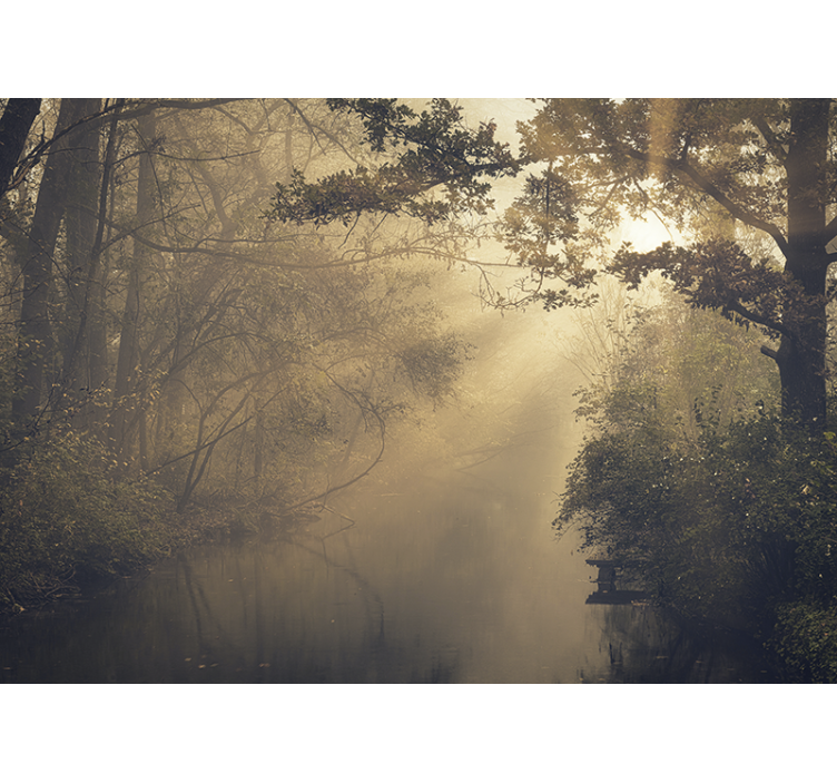 Φωτοταπετσαρία φύσης Λαμπερή Δασική Τοπίο - TenStickers